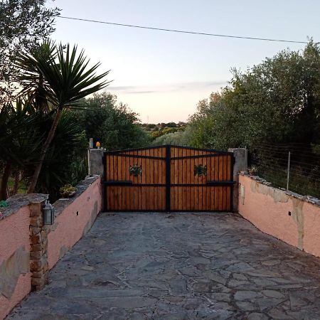 Villa Relax Tra Gli Ulivi Alghero Exterior foto