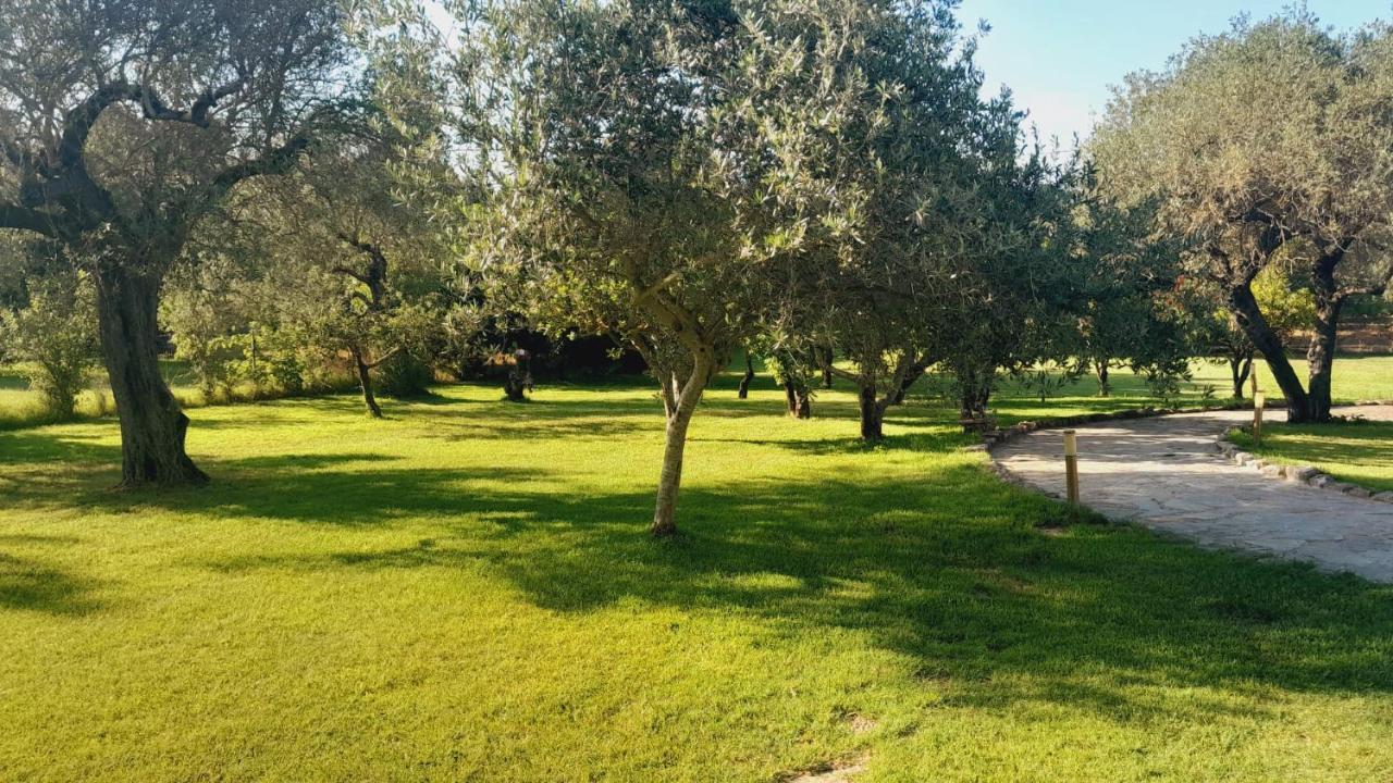 Villa Relax Tra Gli Ulivi Alghero Exterior foto